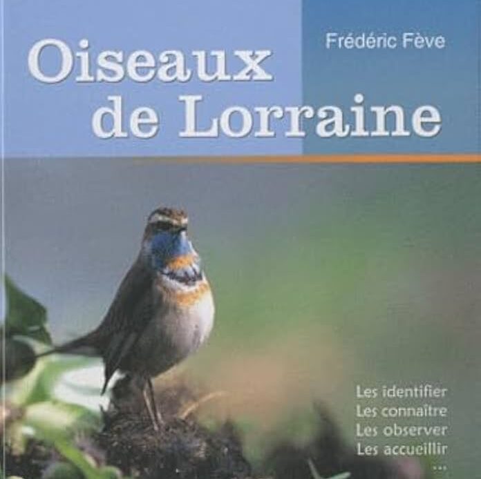 ne manquez pas l'inauguration de l'oiseau de lorraine, un événement marquant célébrant l'art et la culture régionale. rejoignez-nous pour découvrir cette œuvre emblématique et profiter d'une journée pleine d'activités, de rencontres et de surprises.