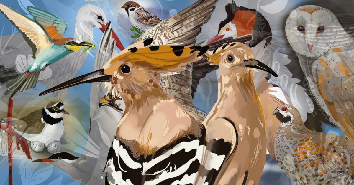 rejoignez-nous pour l'inauguration de l'oiseau de lorraine, un événement unique célébrant l'art et la culture de notre région. découvrez les créations inspirantes, profitez d'animations en direct et plongez dans l'univers passionnant de cet emblématique projet. ne manquez pas cette occasion de vivre une expérience inoubliable!