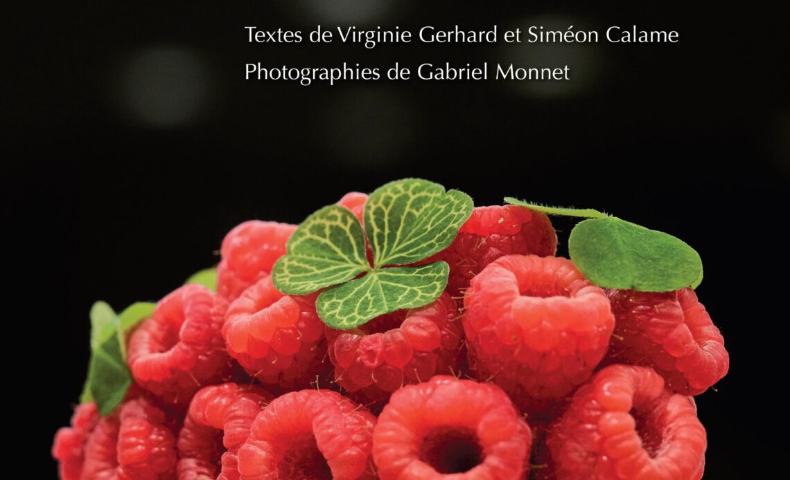 découvrez une aventure culinaire sucrée captivante qui éveille vos sens. explorez des recettes délicieuses et créatives, des astuces de pâtisserie et des idées originales pour combler toutes vos envies sucrées. laissez-vous embarquer dans un voyage gourmand riche en saveurs et en surprises.