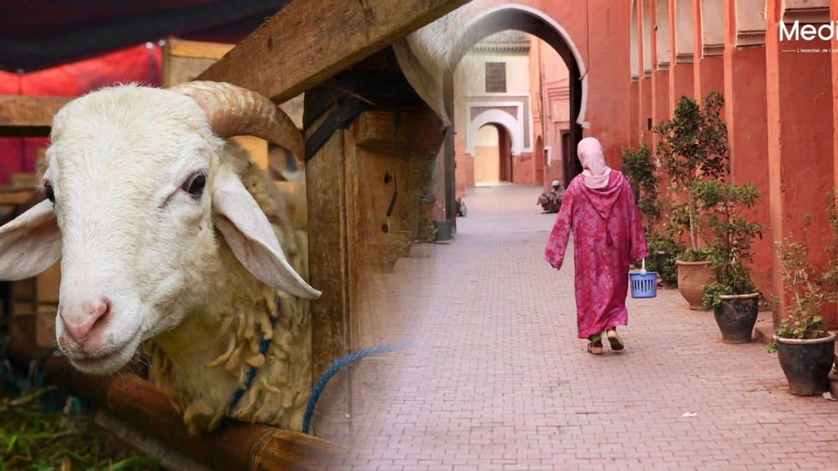 découvrez les traditions marocaines uniques liées à l'aïd al-adha, une fête sacrée symbolisant le sacrifice et la générosité. plongez dans les coutumes vibrantes, les rituels familiaux et les mets savoureux qui font de cette célébration un moment inoubliable au maroc.