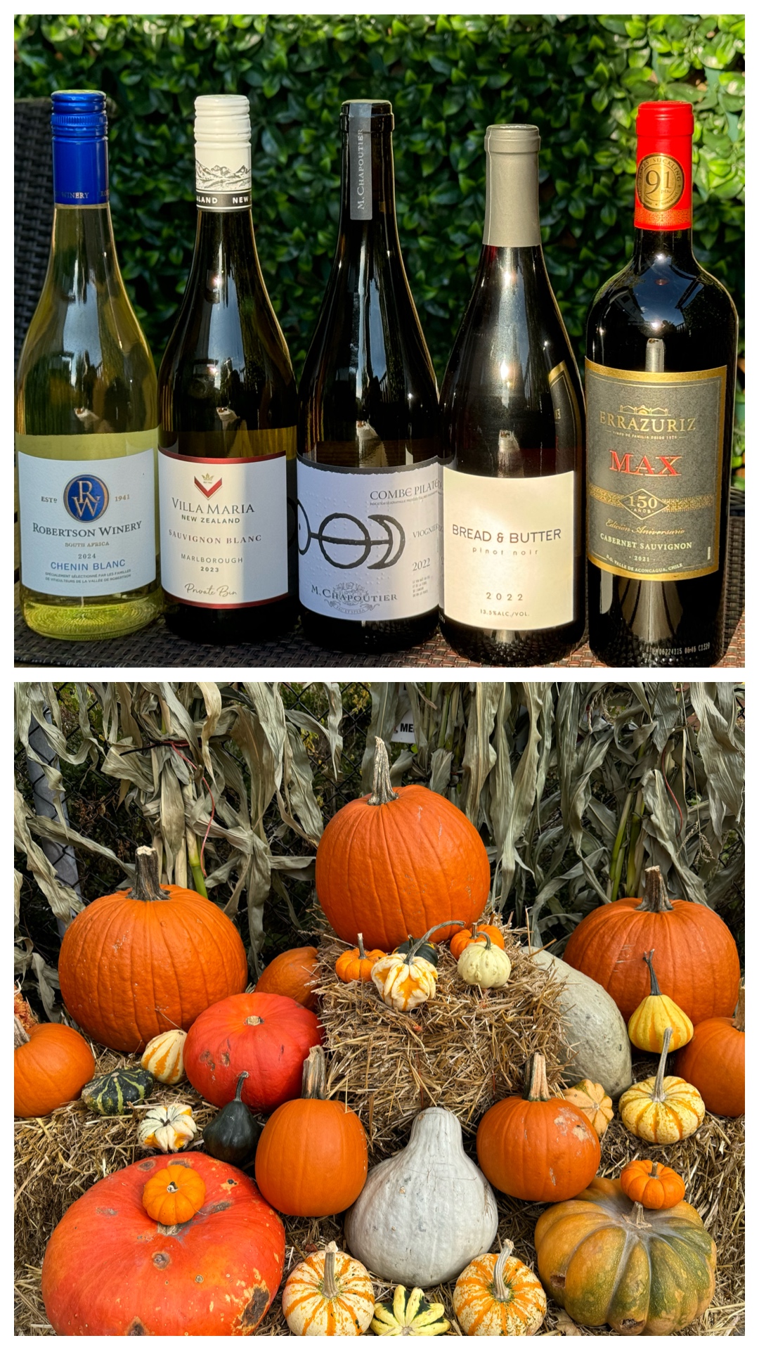 découvrez les délices des saveurs automnales : des recettes réconfortantes aux ingrédients de saison, plongez dans l'univers gourmand des plats chauds, des soupes veloutées et des desserts aux fruits d'automne pour célébrer cette belle saison.