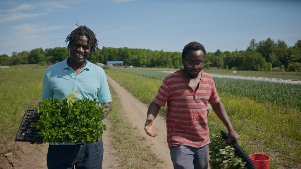 découvrez l'univers culinaire unique de boucar diouf, où les saveurs s'entremêlent pour offrir une expérience gastronomique inoubliable. plongez dans des recettes authentiques, inspirées des traditions africaines, et savourez des plats qui éveillent vos sens et régalent vos papilles.