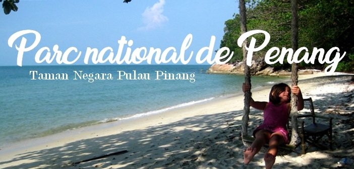 découvrez les délices de penang : une cuisine authentique où épices, traditions et saveurs exotiques vous invitent à un voyage culinaire inoubliable en malaisie.