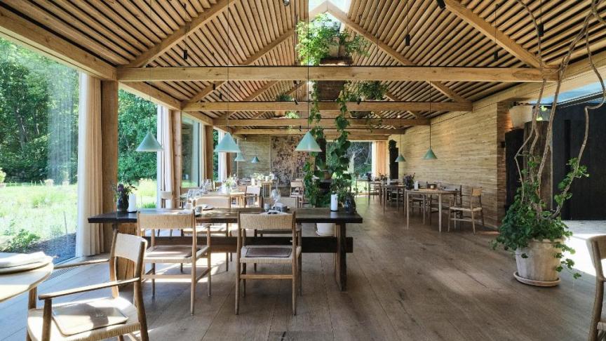 découvrez la nouvelle étoile culinaire de copenhague : une expérience gastronomique innovante qui séduit gourmets et voyageurs. saveurs uniques, ambiance raffinée et créativité au rendez-vous dans la capitale danoise.