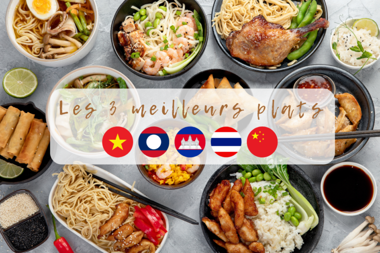découvrez les trésors du tourisme culinaire en asie : dégustez des saveurs authentiques, explorez des marchés locaux et vivez une expérience gastronomique inoubliable à travers les traditions et spécialités de chaque pays asiatique.