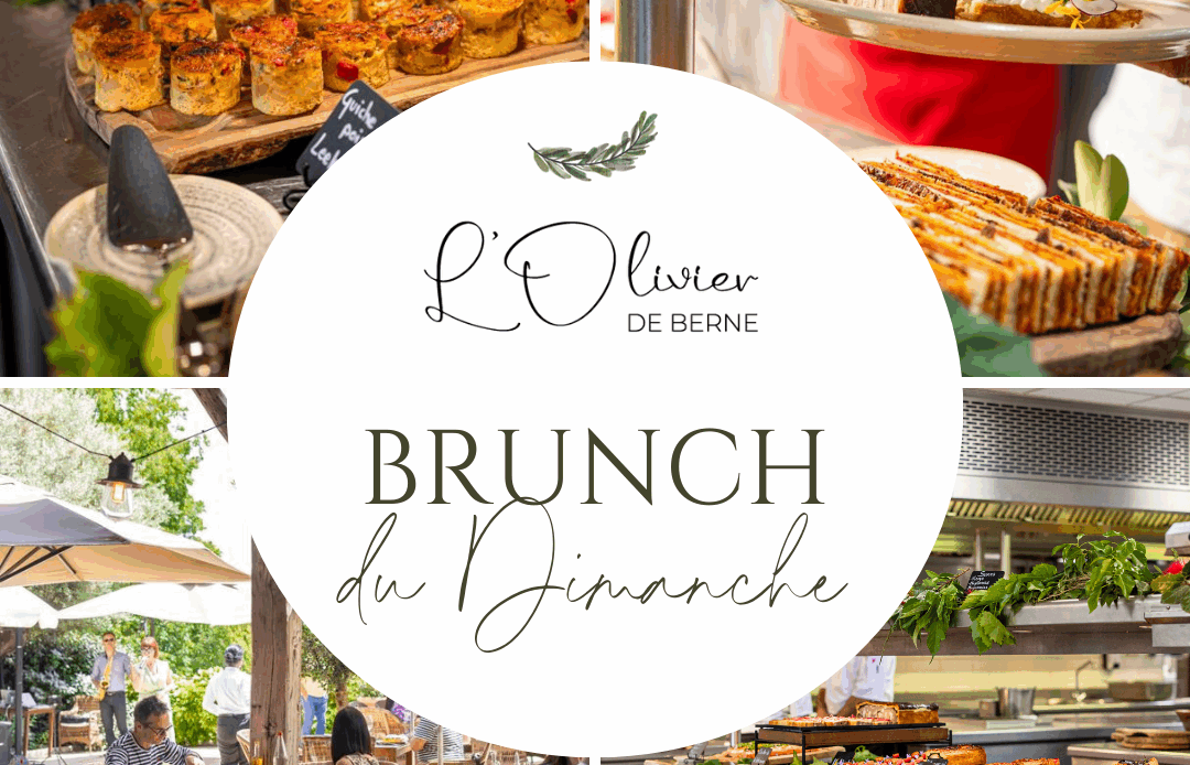 participez à la semaine gastronomique de berne et découvrez les saveurs locales à travers des menus exclusifs, des ateliers culinaires et des expériences gourmandes uniques dans la capitale suisse.