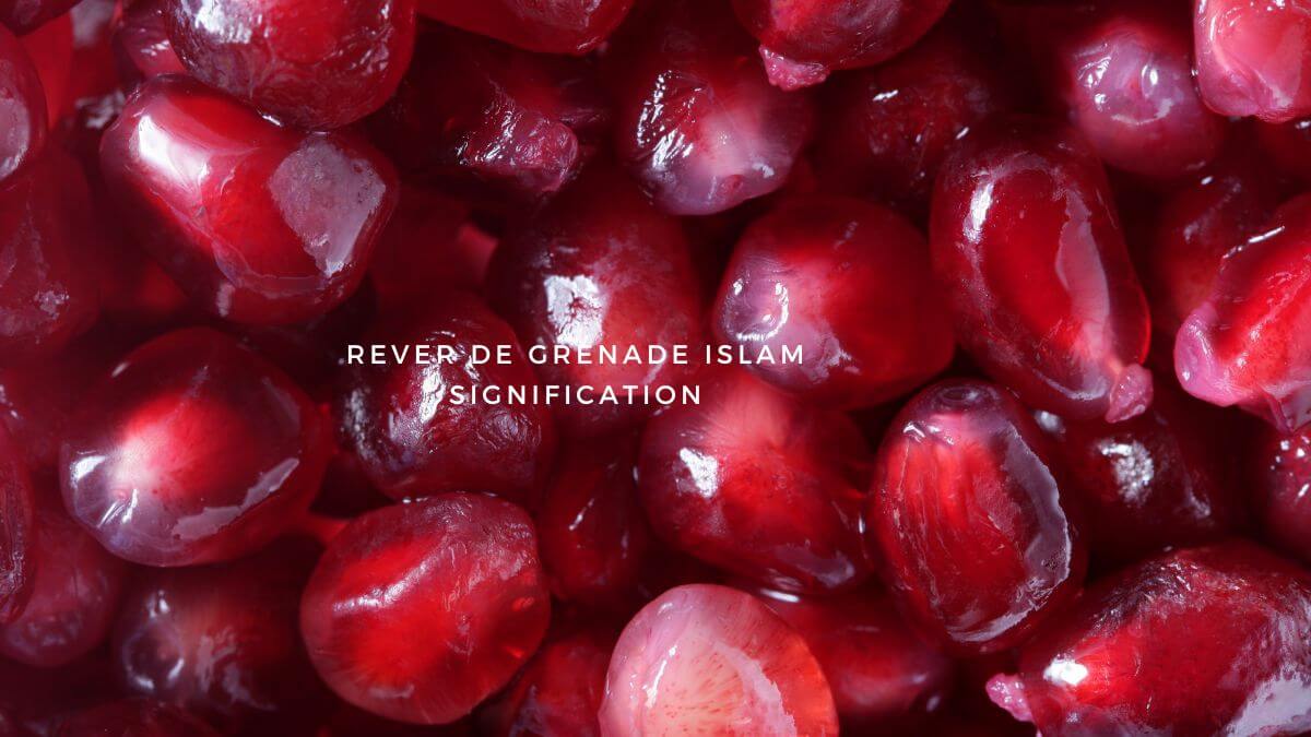 découvrez le potentiel économique et nutritionnel de la grenade à oman, un fruit riche en bienfaits et opportunités pour l'agriculture locale.