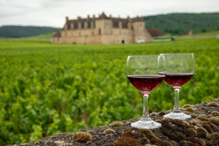 découvrez le tourisme gastronomique : explorez des destinations savoureuses, dégustez des spécialités locales et vivez des expériences culinaires uniques lors de vos voyages.