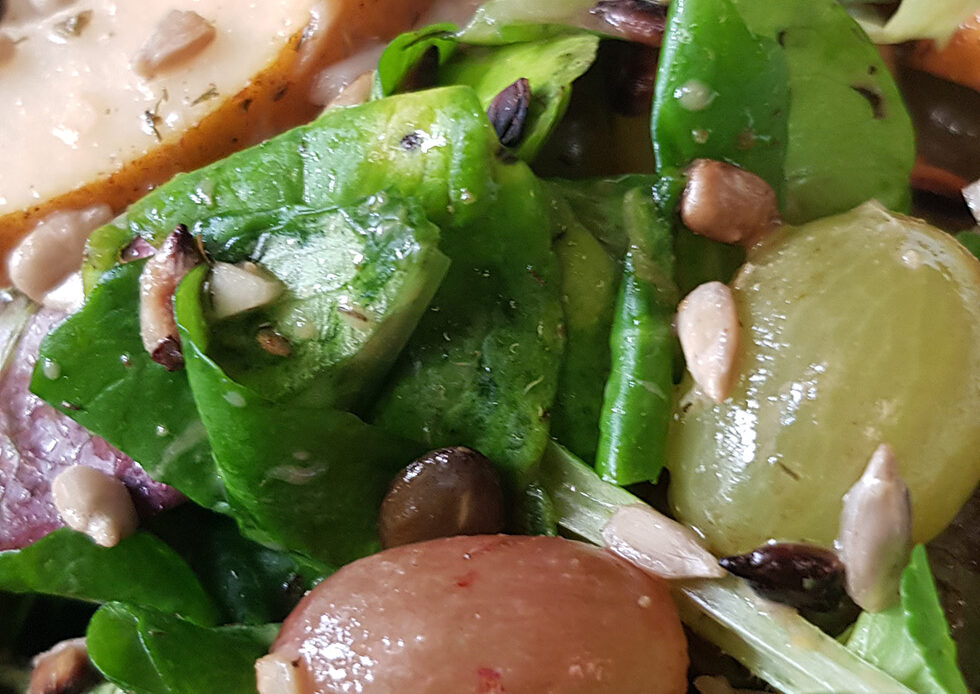 découvrez l'automne végétalien : des recettes de saison, des astuces pour adopter un mode de vie vegan et profiter de saveurs automnales naturelles et gourmandes.