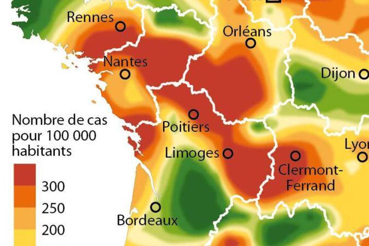 découvrez tout sur la gastro-entérite : symptômes, prévention et conseils pour mieux gérer la gastro pendant la semaine. informez-vous pour protéger votre santé !