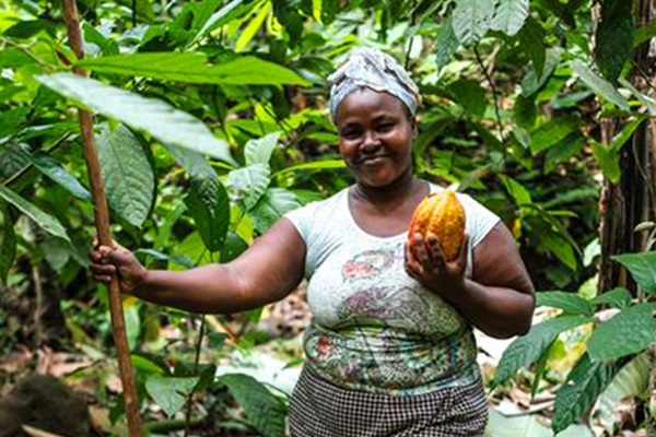 découvrez les héros de l'alimentation, ces personnes et initiatives qui révolutionnent notre manière de produire, consommer et apprécier la nourriture saine et responsable.
