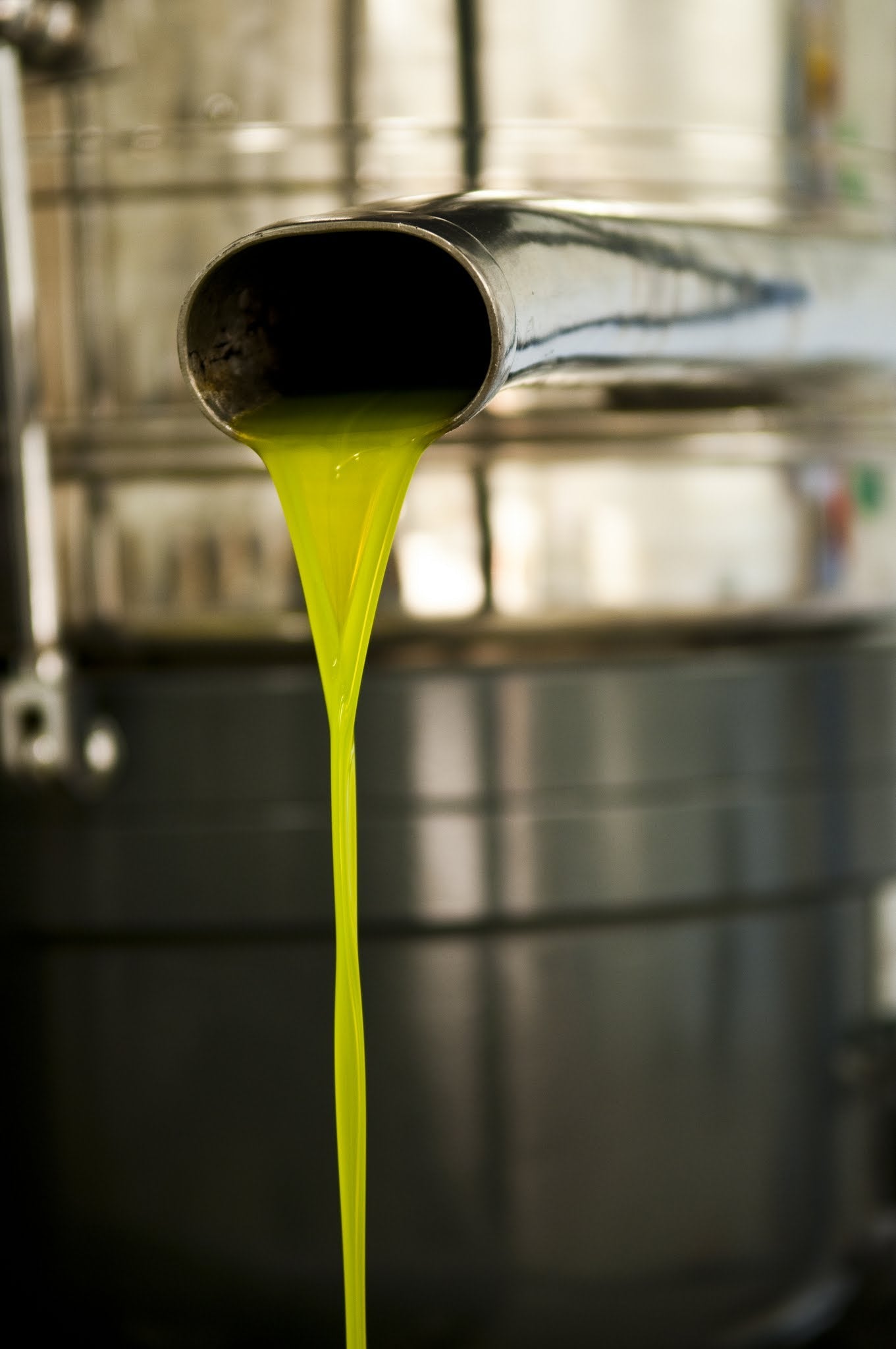 découvrez comment l'huile d'olive peut renforcer votre système immunitaire grâce à ses nombreux bienfaits et antioxydants naturels. adoptez une alimentation saine pour mieux protéger votre santé !