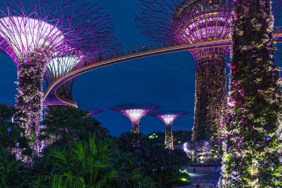 découvrez un itinéraire gourmand à singapour : explorez les marchés animés, dégustez les spécialités locales et vivez une expérience culinaire unique au cœur de la ville.