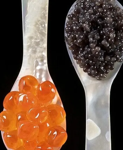 découvrez le cadre amazon présent lors du lancement du livre du chef khalid dahbi, un événement exceptionnel mêlant gastronomie et innovation.