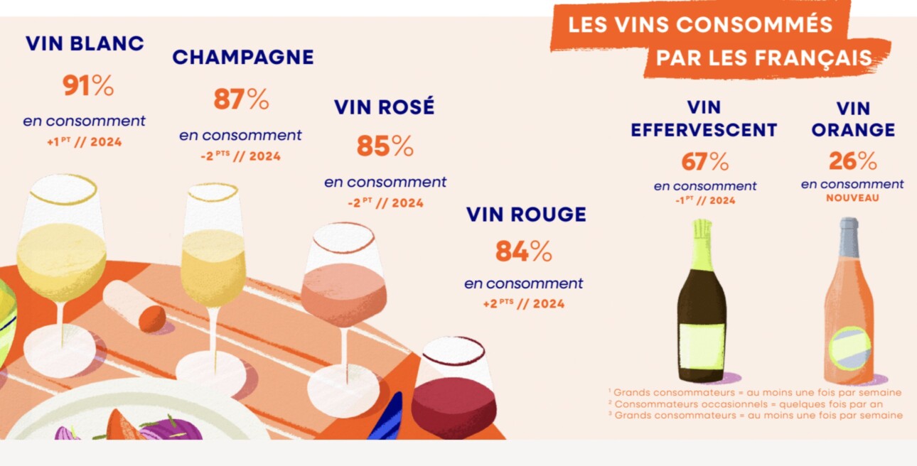 découvrez les traditions et festivités autour de la saint-martin 2025, ainsi que les vins d'automne mis à l'honneur lors de cette célébration emblématique.