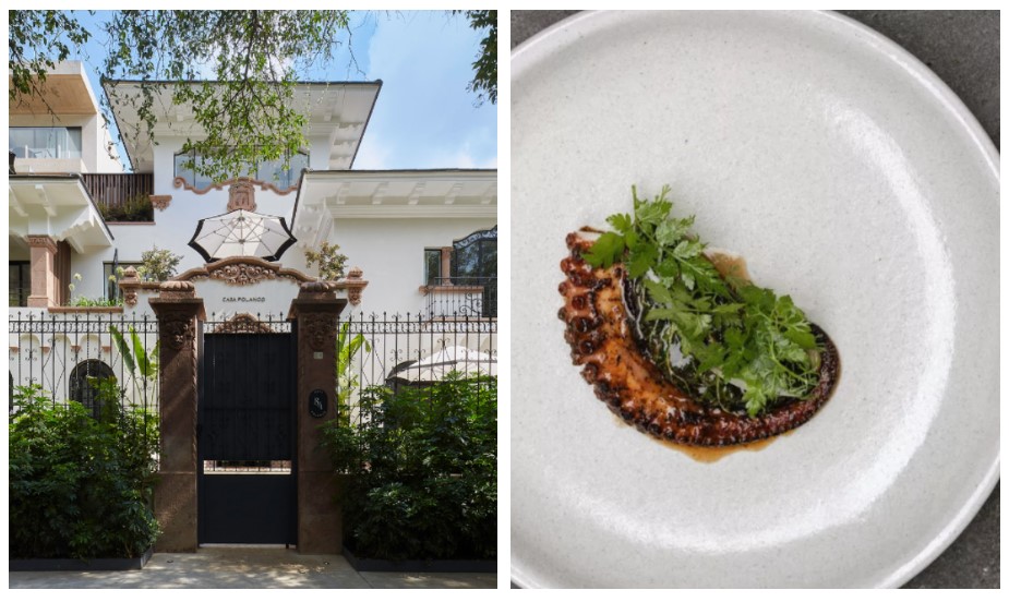 découvrez les adresses culinaires incontournables de 2025 pour une expérience gastronomique exceptionnelle et des saveurs inédites.