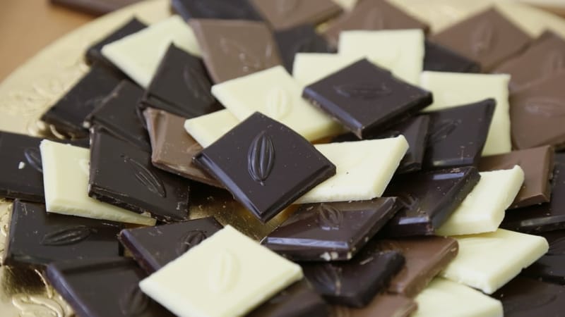 découvrez l'actualité régionale du week-end avec le salon du chocolat, les nouveautés auto et les plaisirs de la gastronomie locale.